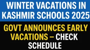 winter Vacation Kashmir 2025